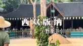 为什么说野象谷，是西双版纳最值得期待的地方之一