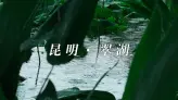 在昆明翠湖边散步，才懂什么叫城市里的慢生活
