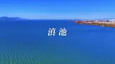 当海鸥飞过滇池，昆明的冬天就有了浪漫的形状