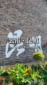 昆明三天怎么玩？翠湖喂鸥→滇池看日落→石林看奇观，我帮你排好了