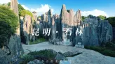 别只听说石林奇特，亲眼看到才知道有多离谱