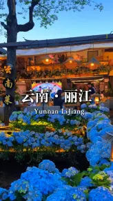 玉龙雪山的终年积雪、蓝月谷的碧水如镜、丽江古城的灯火璀璨，这三个地方你打卡了几个？