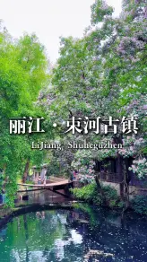 很多人去了丽江却错过这里，束河古镇的慢时光才最治愈