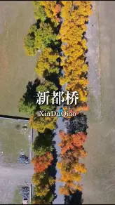 为什么摄影人一去再去新都桥？因为每次都有新发现