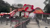 第一次去成都大熊猫基地，收藏这篇攻略，这样玩更轻松！