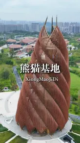 为什么熊猫基地值得一年去四次？因为四季都有不同的萌点