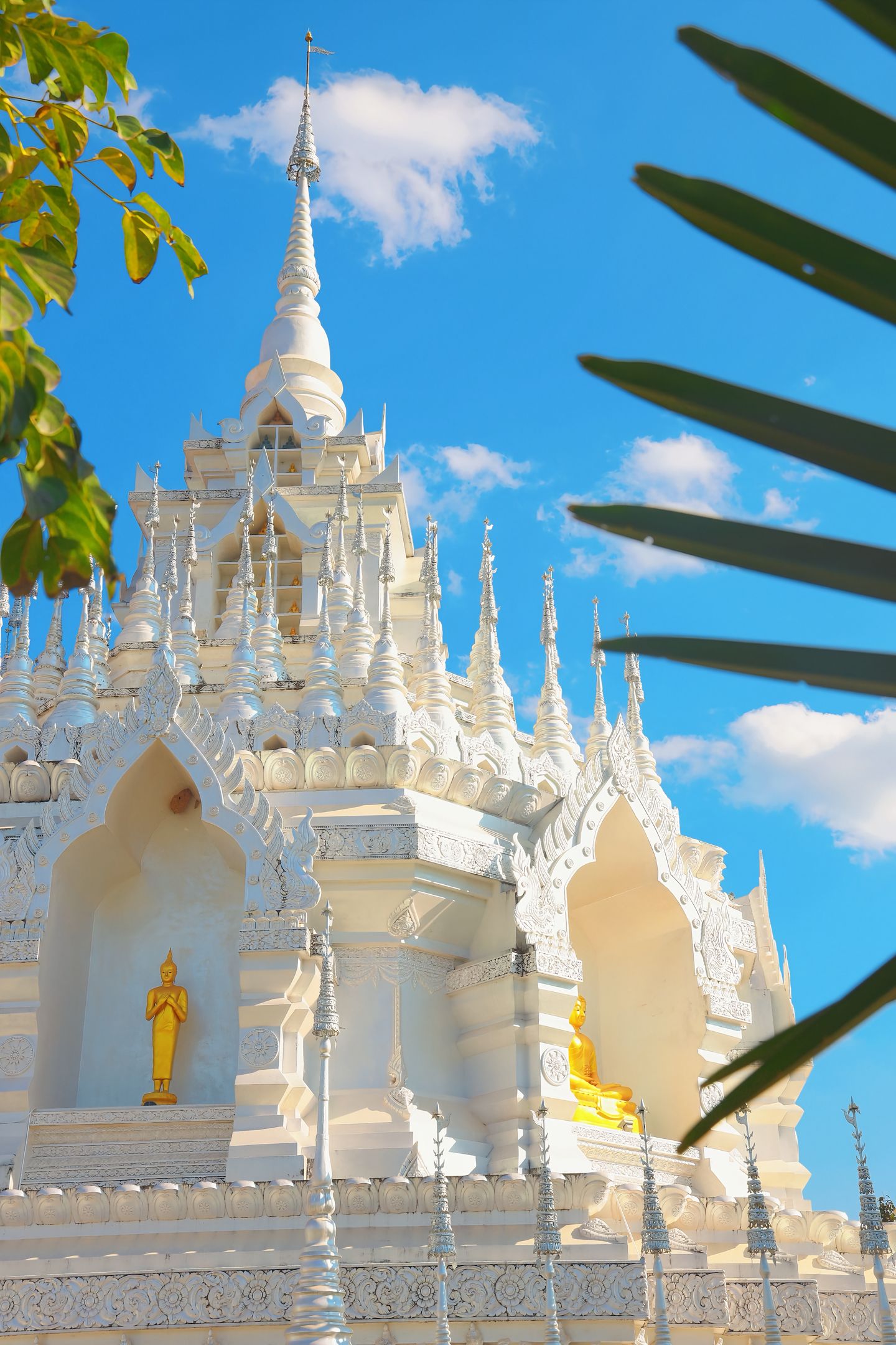 2026西双版纳 3 天 / 4 天 / 5 天行程怎么选？适合人群 + 景点路线 + 费用预算全解析