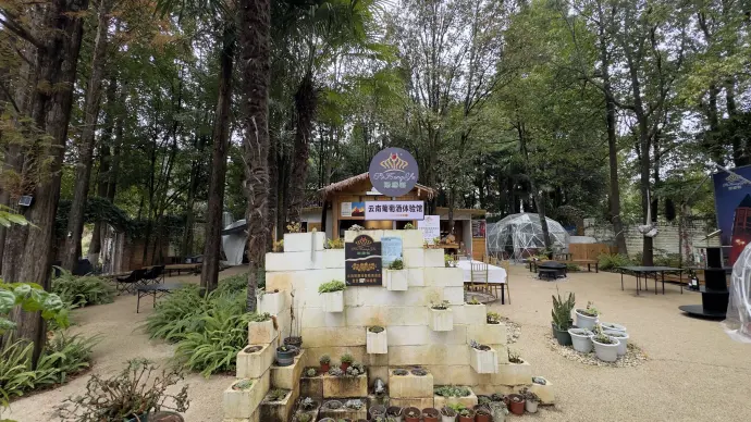 昆明世博园一步一景