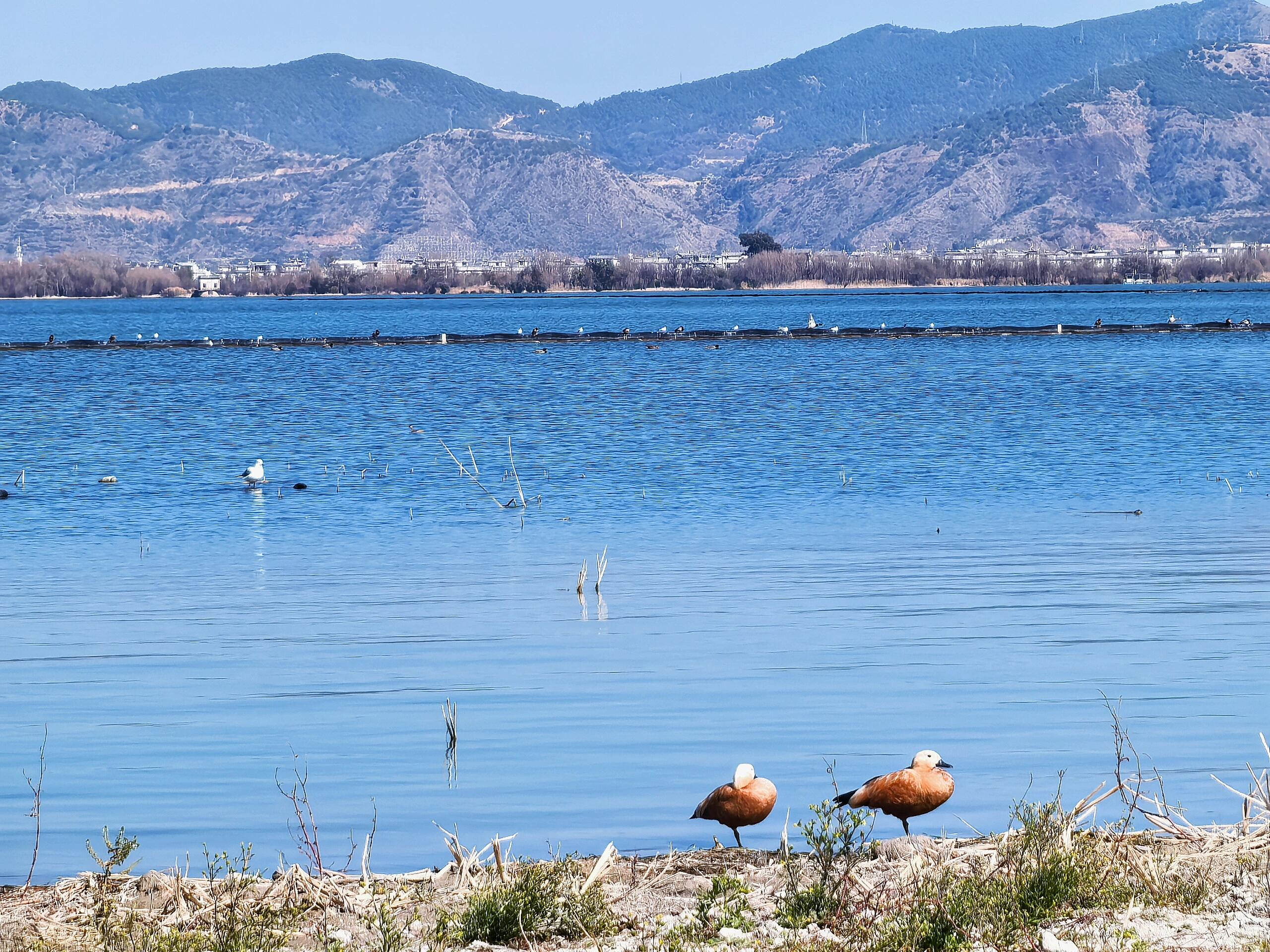 大理洱海旅游完整攻略2026：游玩指南·最佳季节·景点与环湖玩法总览