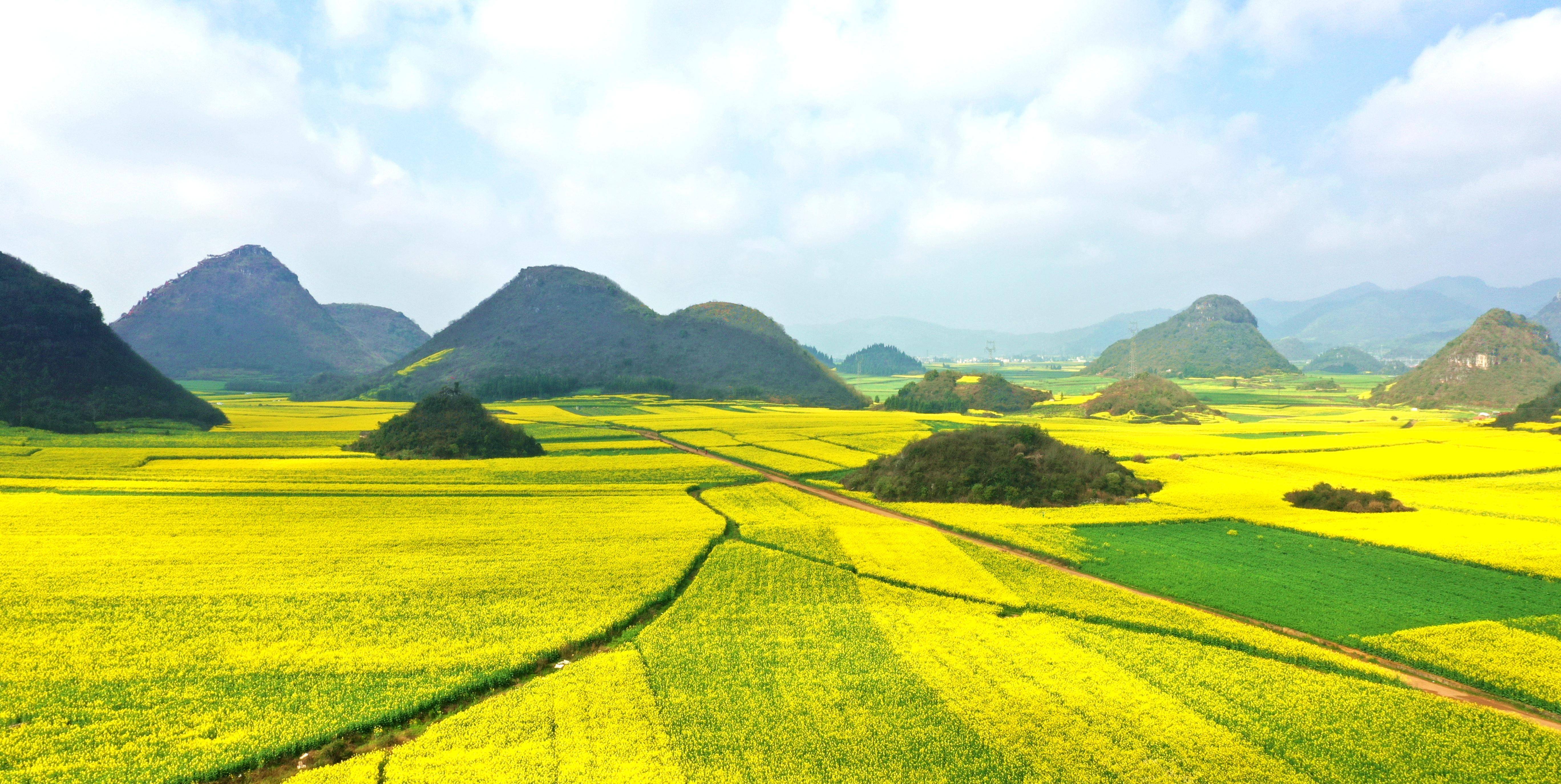 2026云南旅游季节攻略：云南最佳旅游时间是什么时候？四季玩法全解析