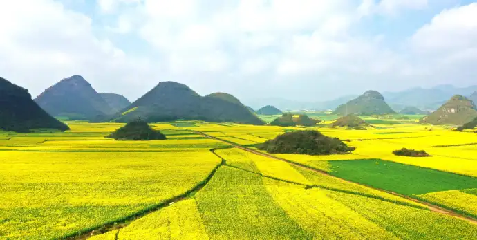 万亩花海
