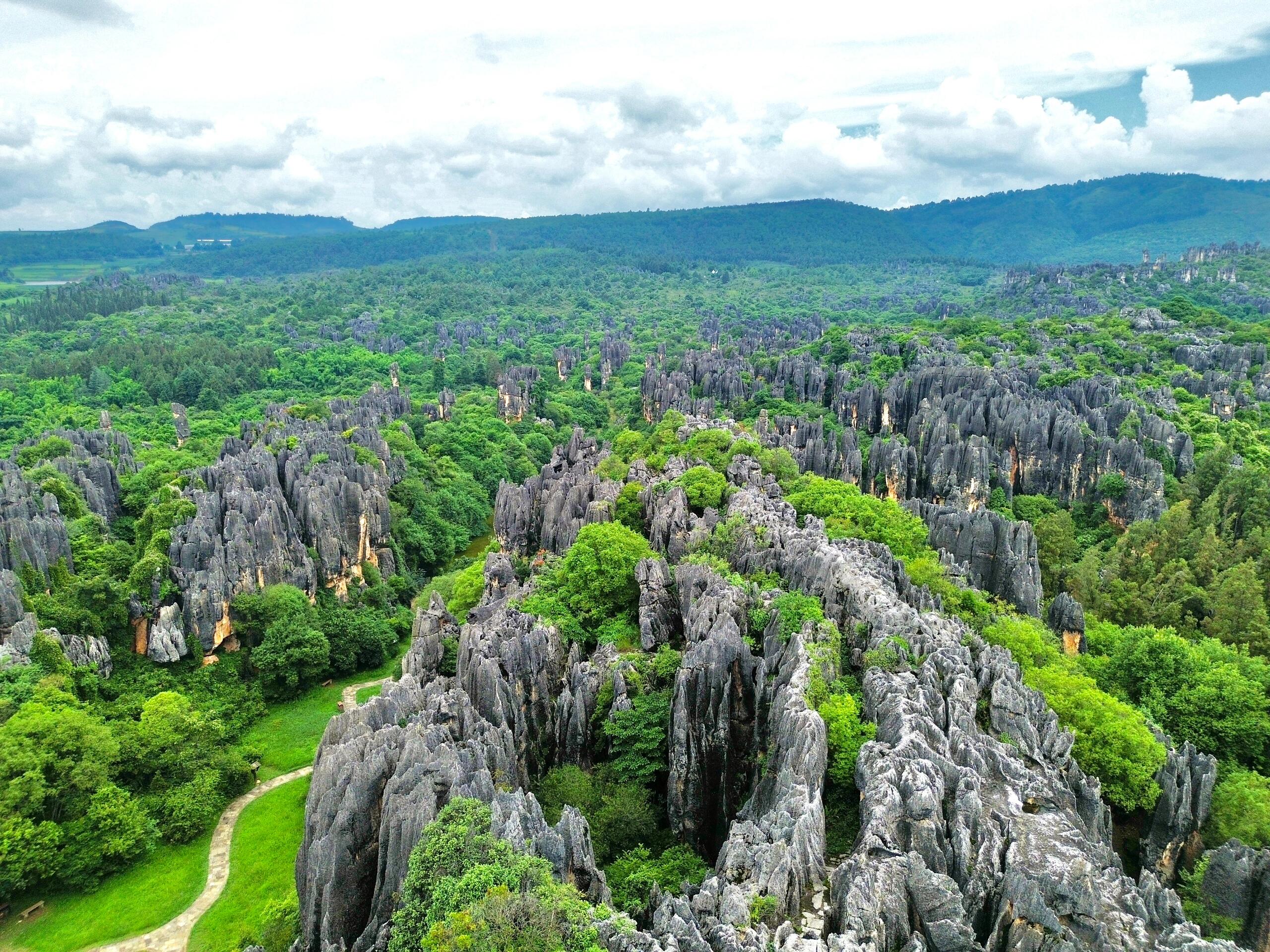 昆明石林旅游费用全解析 2026：一天的石林，实际要花多少钱？三档预算全拆解                 