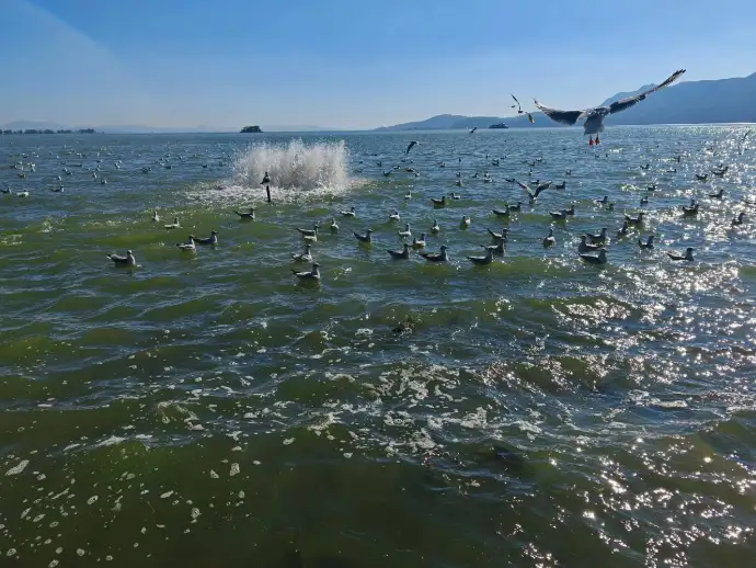 海埂公园