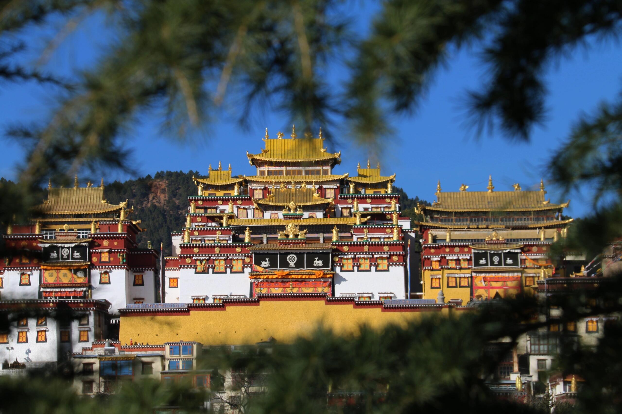 2026云南松赞林寺清晨体验攻略：煨桑烟雾、晨经声与最佳游览时间