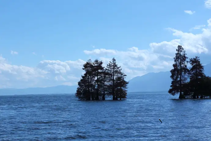 风花雪月洱海
