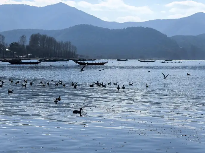 自在泸沽湖