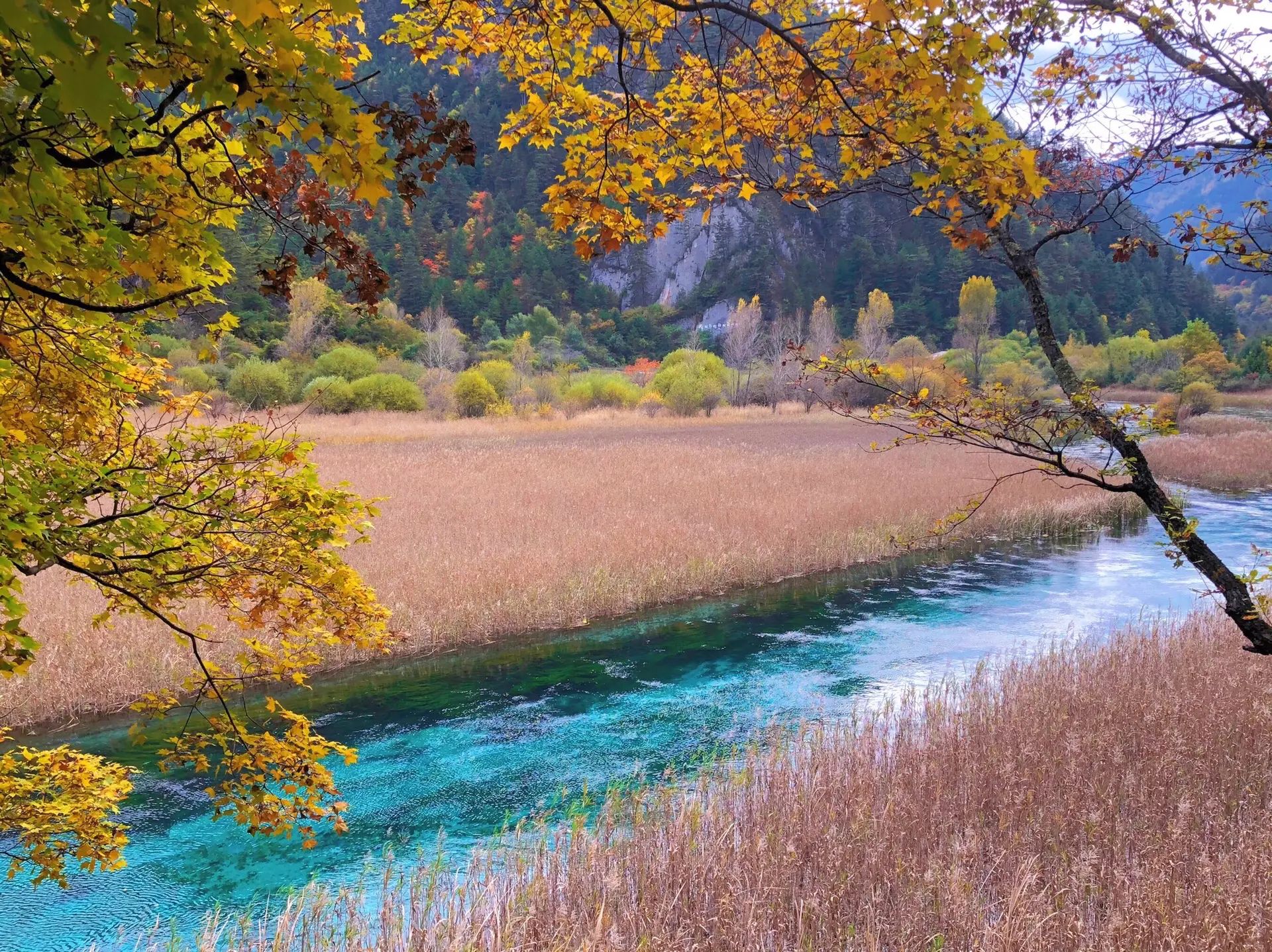 2026九寨沟全景游攻略：一日游怎么排不后悔？三条沟游览顺序与避峰逻辑