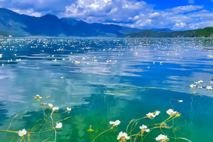 泸沽湖美如花