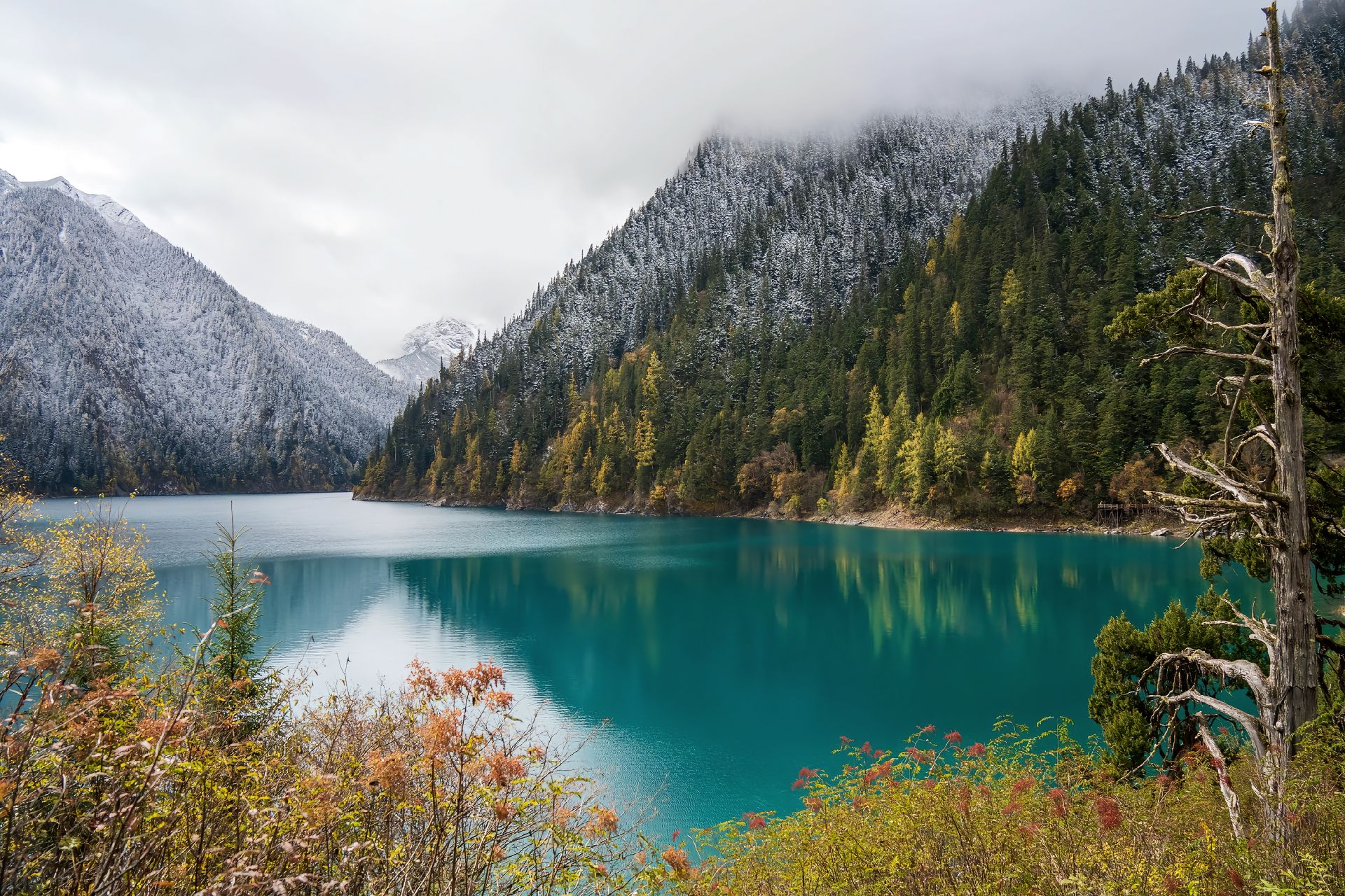 2026九寨沟交通攻略：从成都出发怎么走？高铁、飞机与包车旅游指南