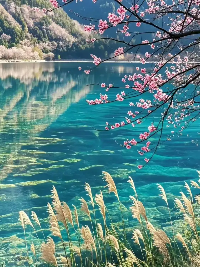 人间仙境九寨沟