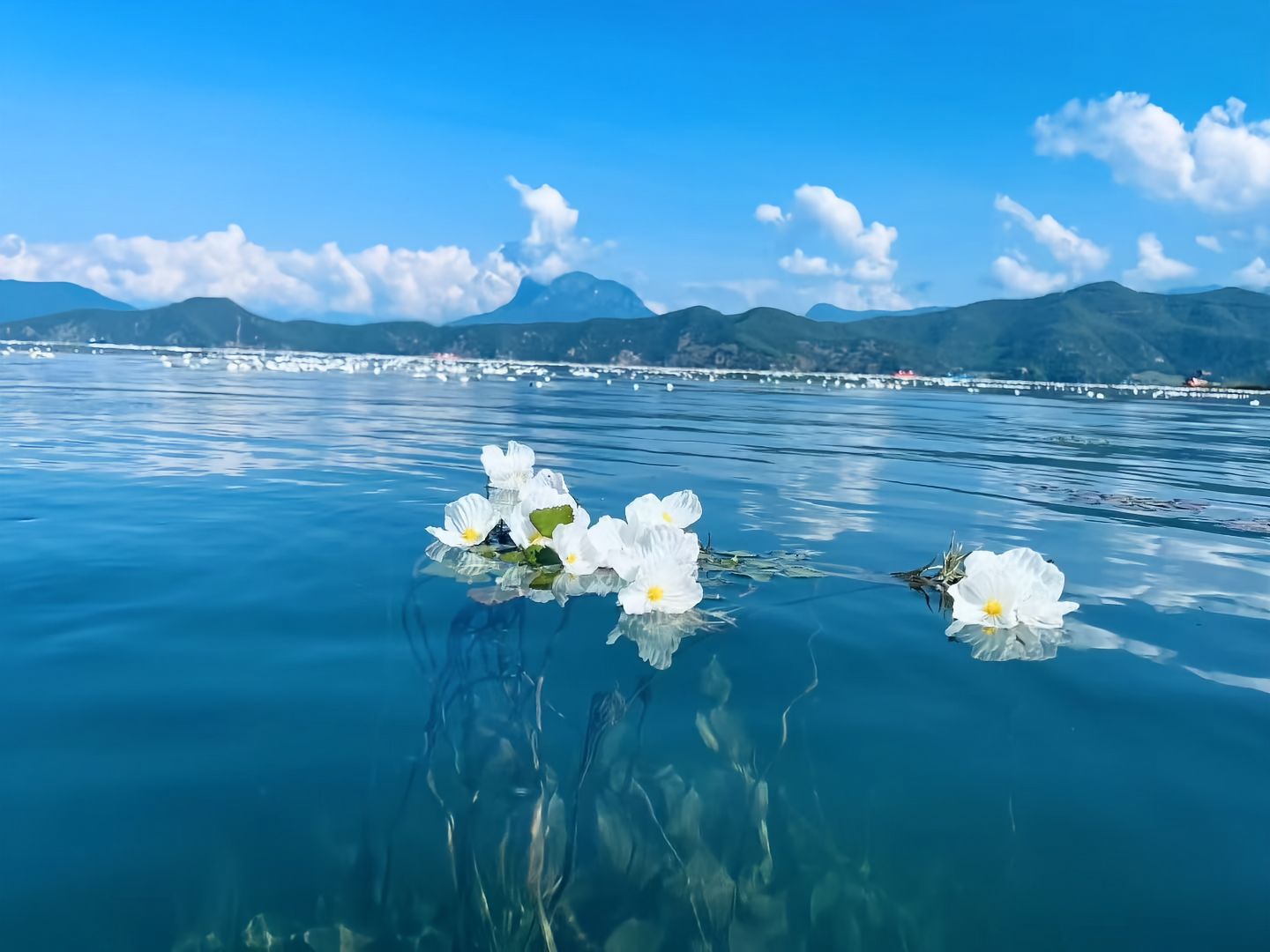 泸沽湖旅游攻略2026：除了走婚桥与草海，真正值得体验的 7 件事