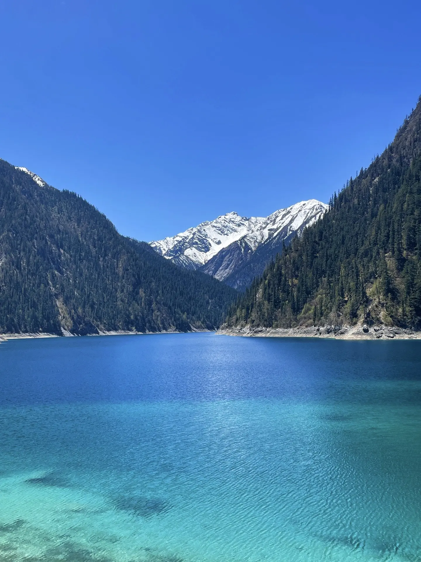 2026 九寨沟旅游要花多少钱？费用拆解、省钱逻辑与避坑建议全指南