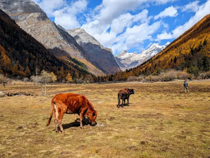 秋天的四姑娘山