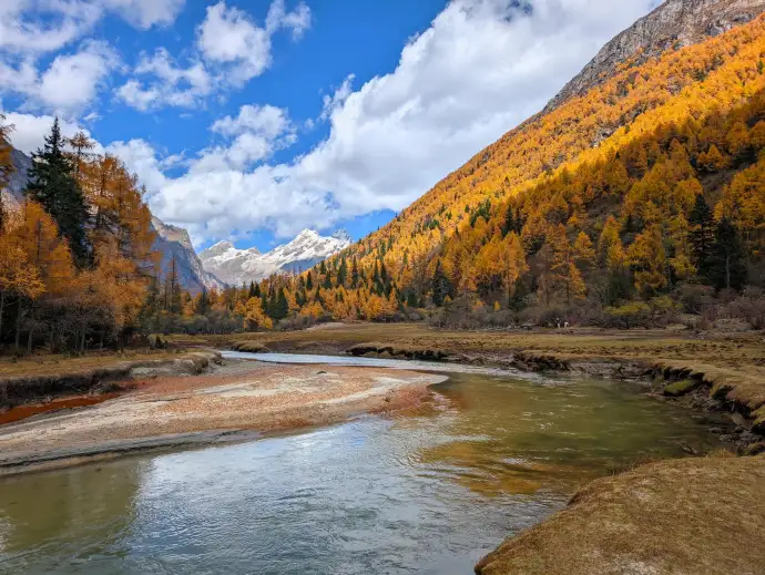 金黄秋天四姑娘山