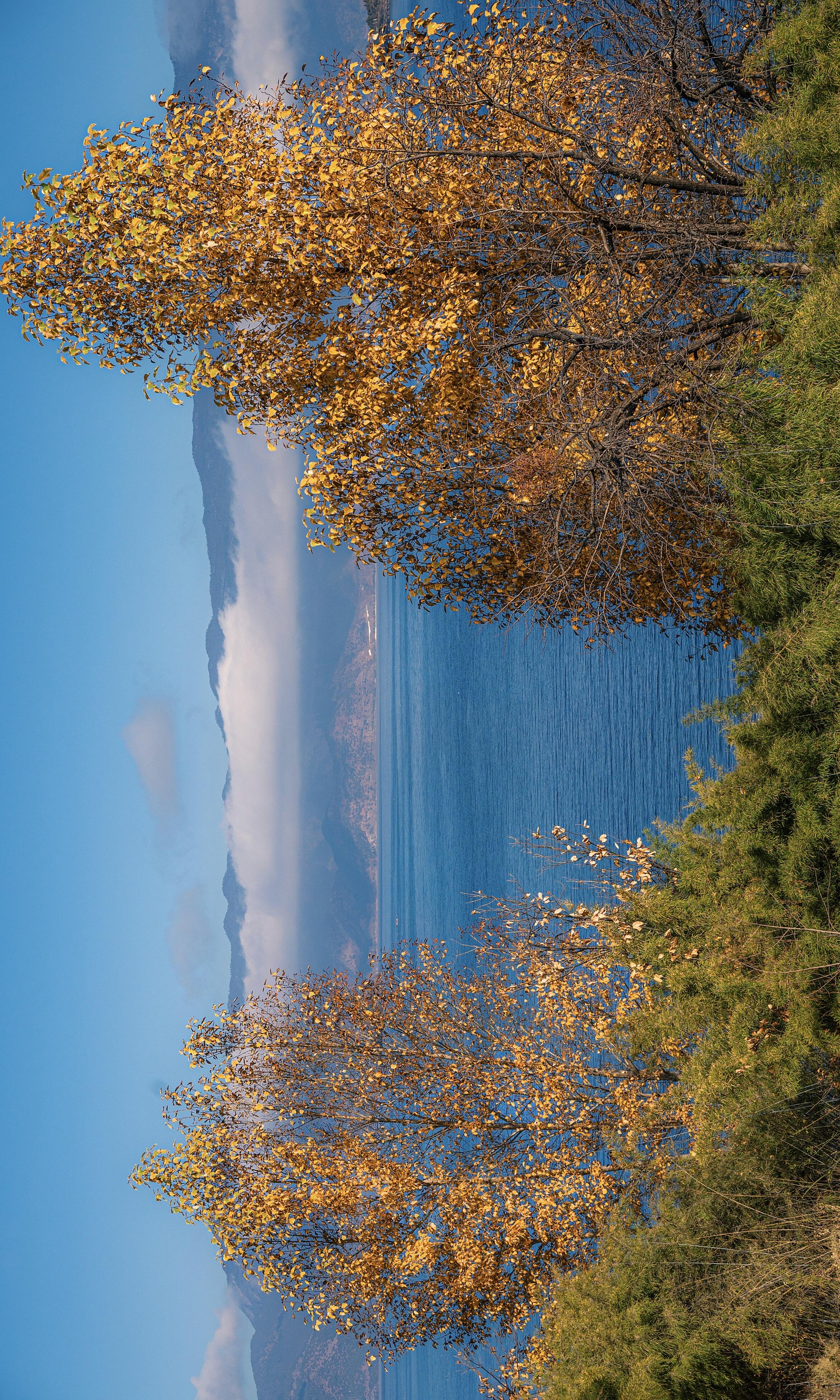 云南旅游怎么选？自由行 vs 定制游全解析：优缺点、费用与体验对比