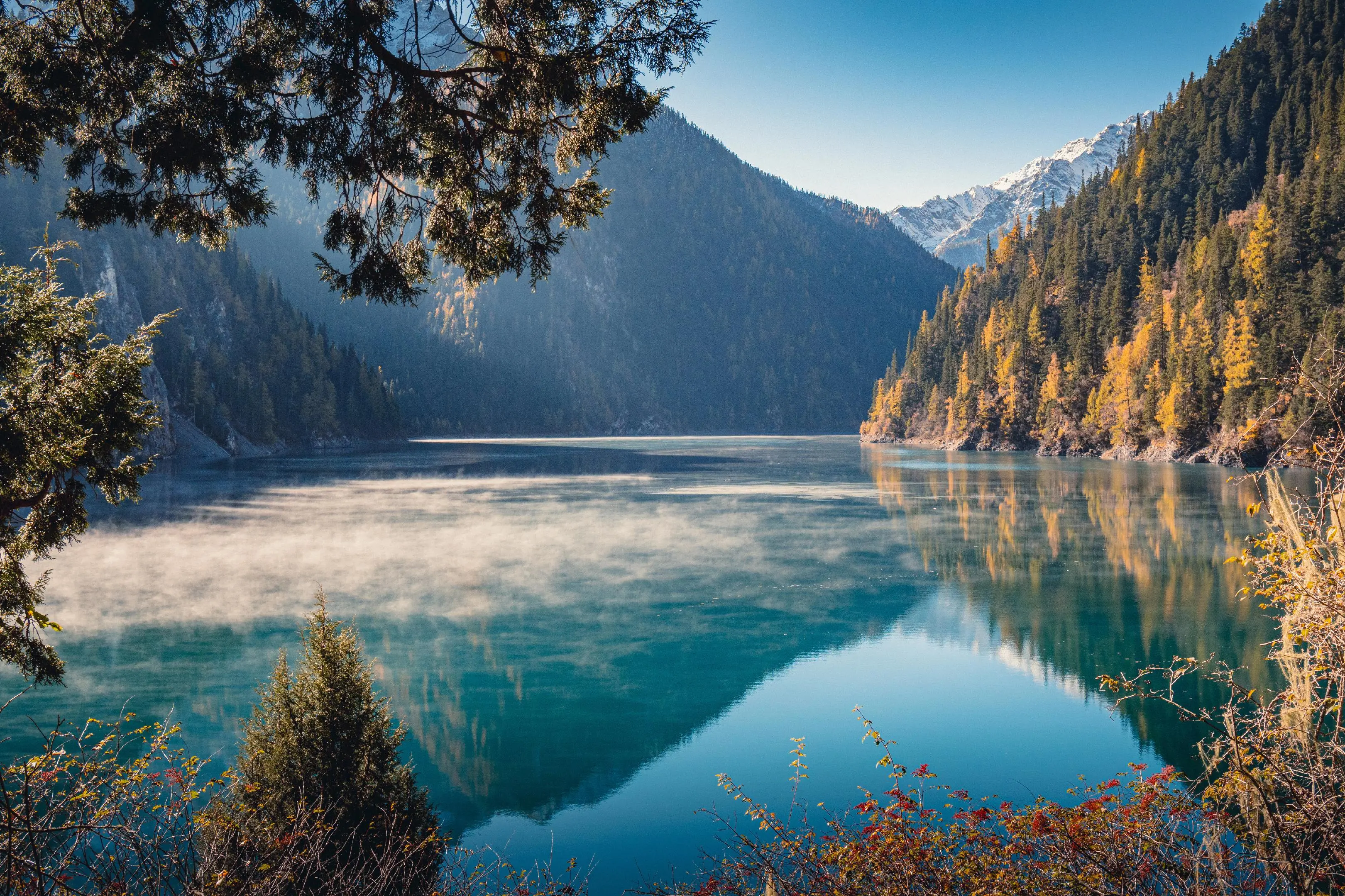 2026九寨沟旅游全攻略：景点顺序、游览路线与自然震撼全解析