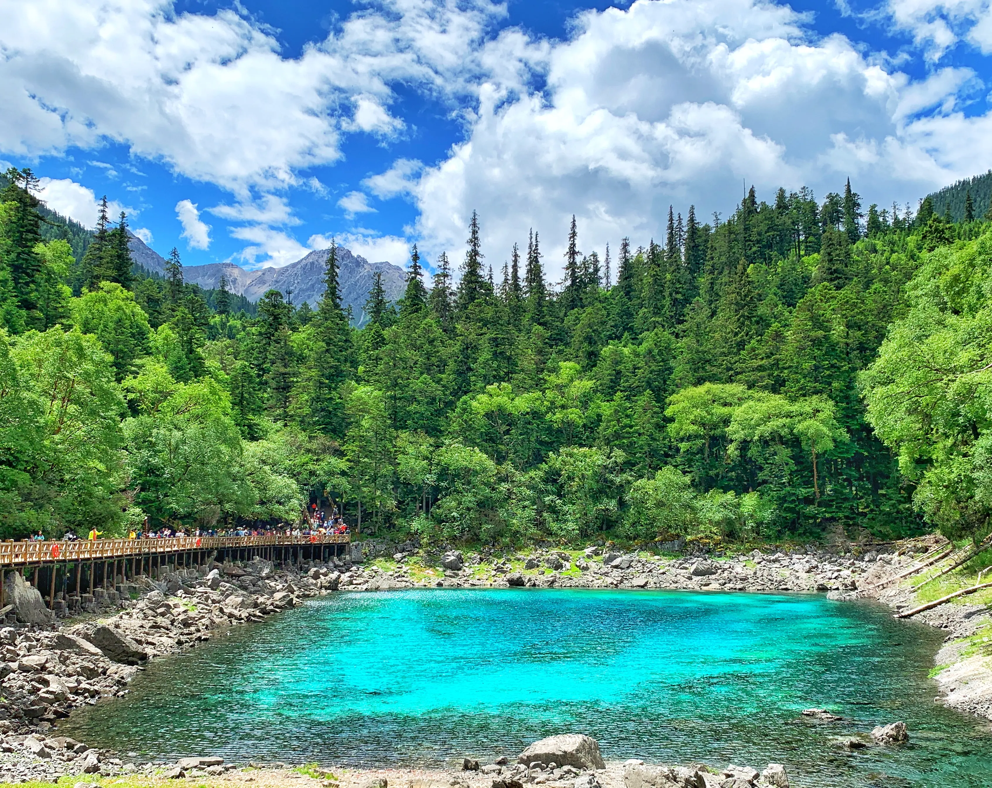 九寨沟最佳旅游时间：雨季、秋季、冬季怎么选？避开人潮的深度季节决策。