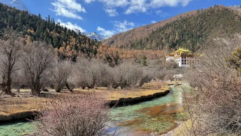 稻城亚丁避坑指南：别让这些误区，毁了你的“最后的净土”之旅！ (1)