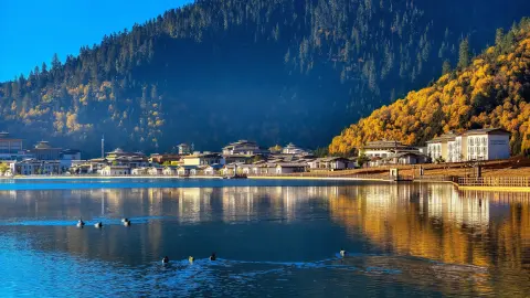 2026林芝旅游终极指南：首次西藏游为何首选林芝？低海拔适应秘诀+桃花季省心攻略！