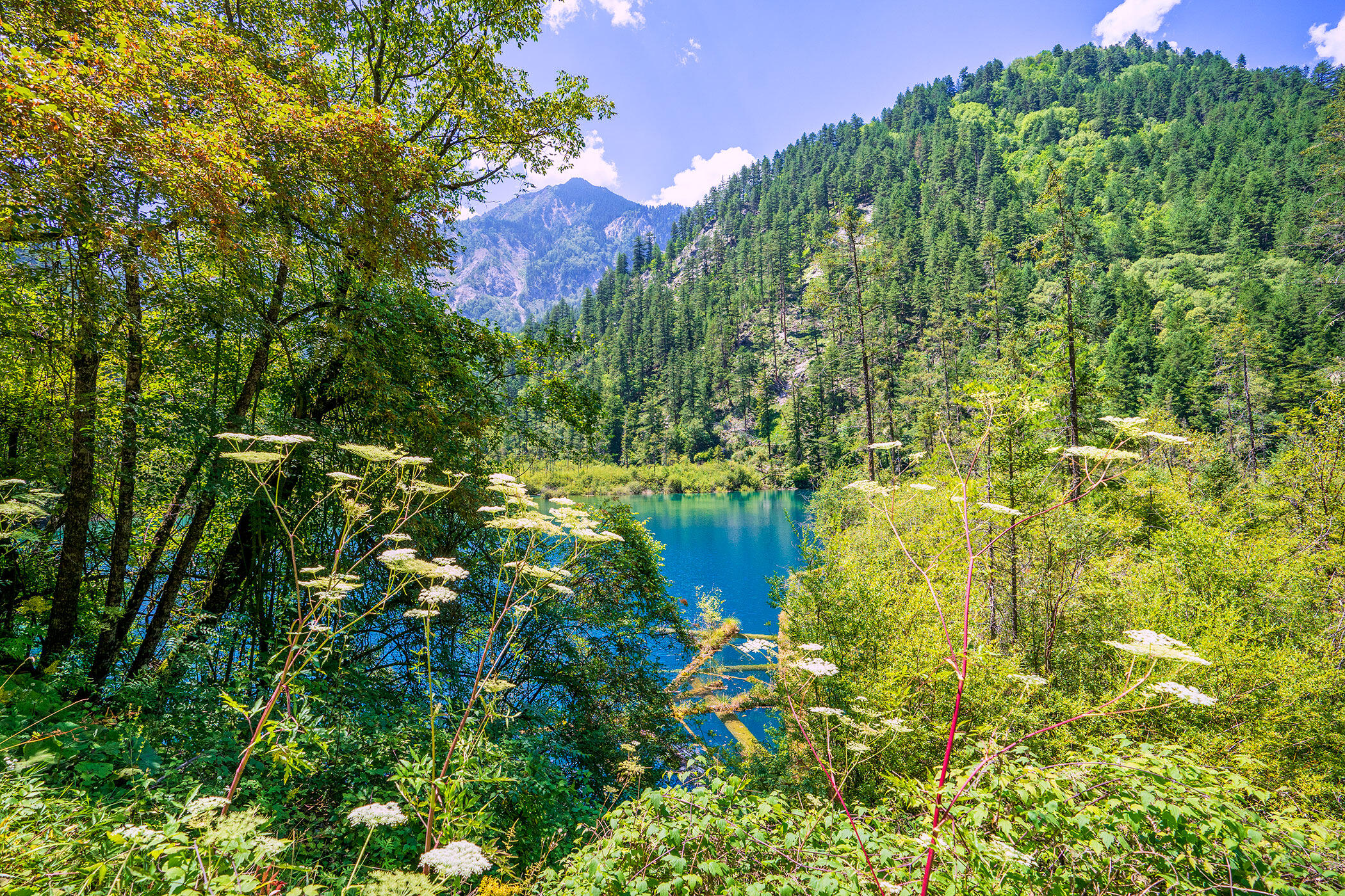 2026九寨沟旅游自由行包车还是小团全攻略：高铁往返深度决策全方位指南