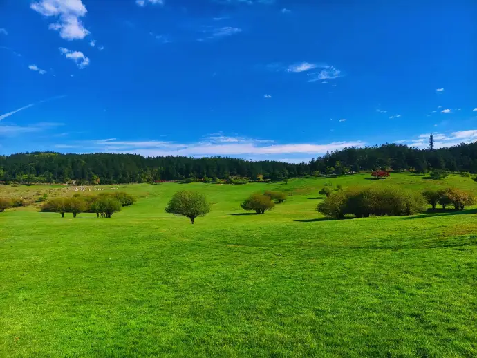 世外桃源仙女山