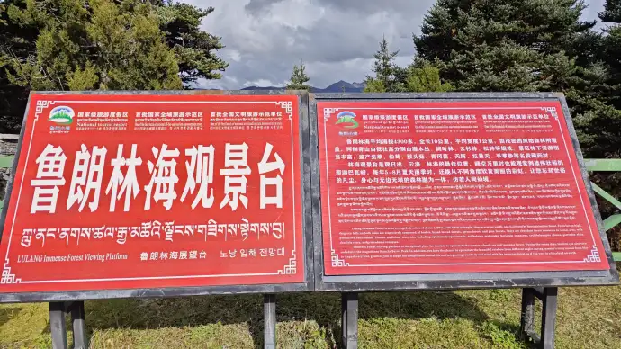 鲁朗林海