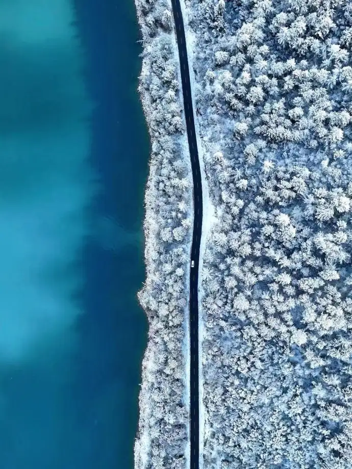 林芝