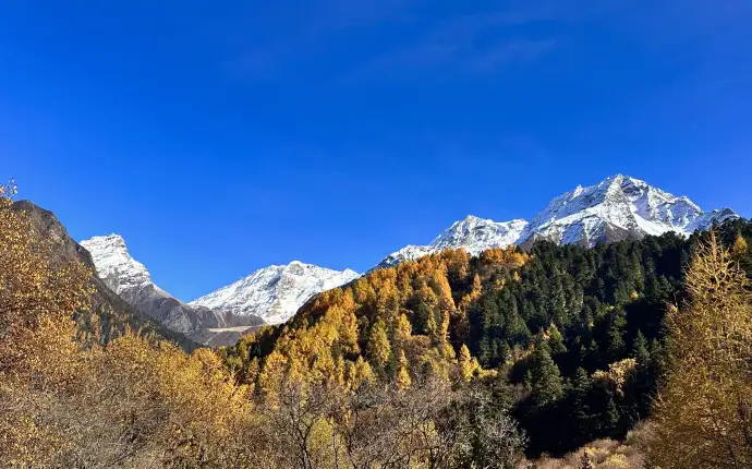 雅鲁藏布江峡谷