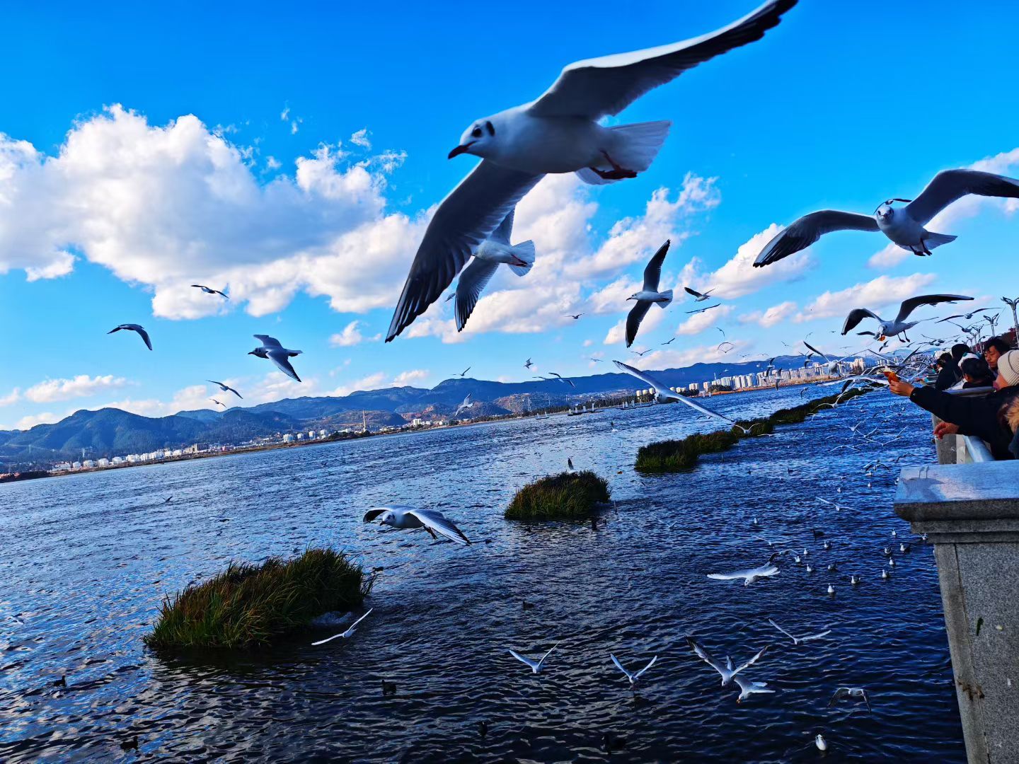 云南昆明滇池·海埂旅游费用解析2026：门票、交通、餐饮与三档预算参考