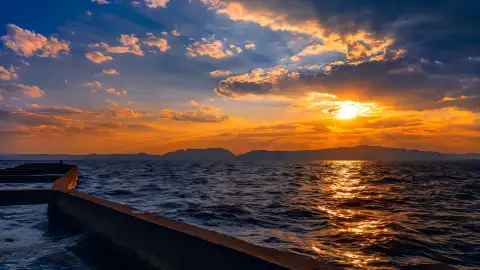 昆明滇池·海埂旅游攻略2026：值得去吗？红嘴鸥观赏+景点+一日游路线推荐
 (71)