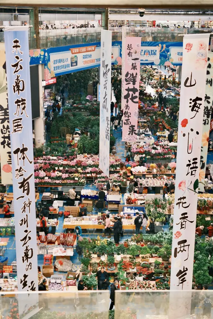 斗南花市
