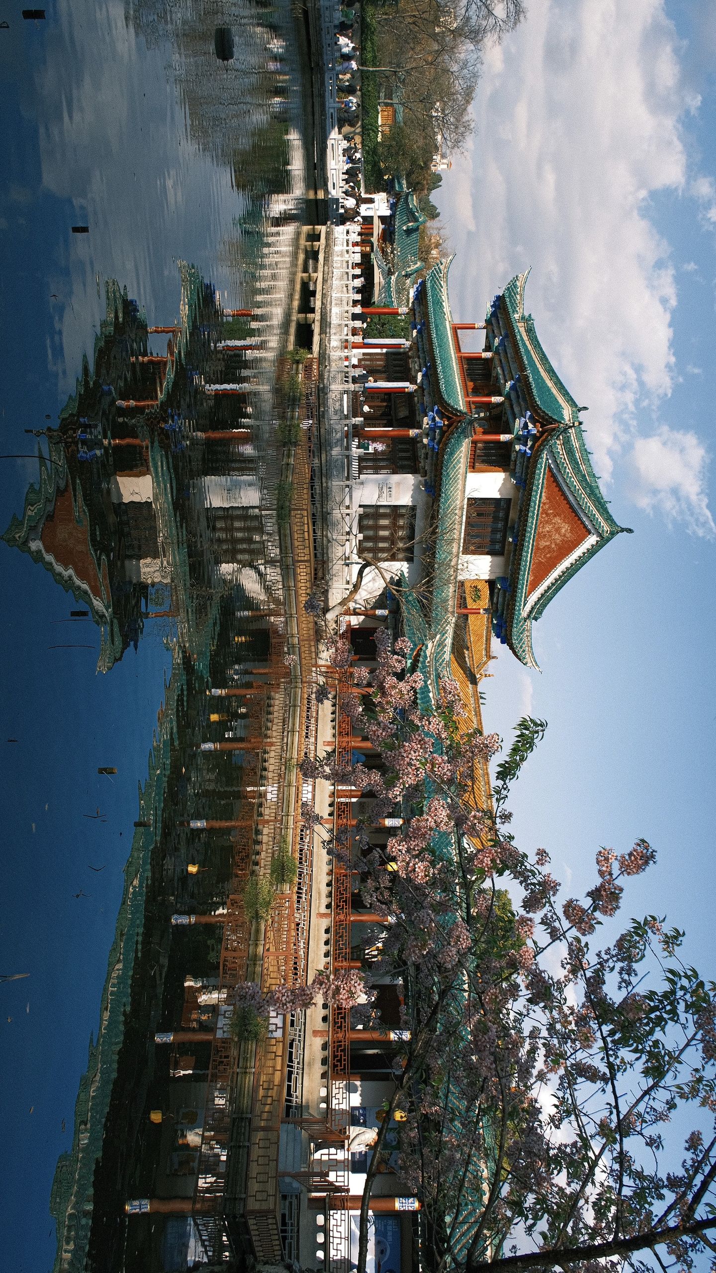 2026昆明翠湖公园旅游攻略：免费看海鸥、逛讲武堂与云南大学，昆明市区半天游核心攻略