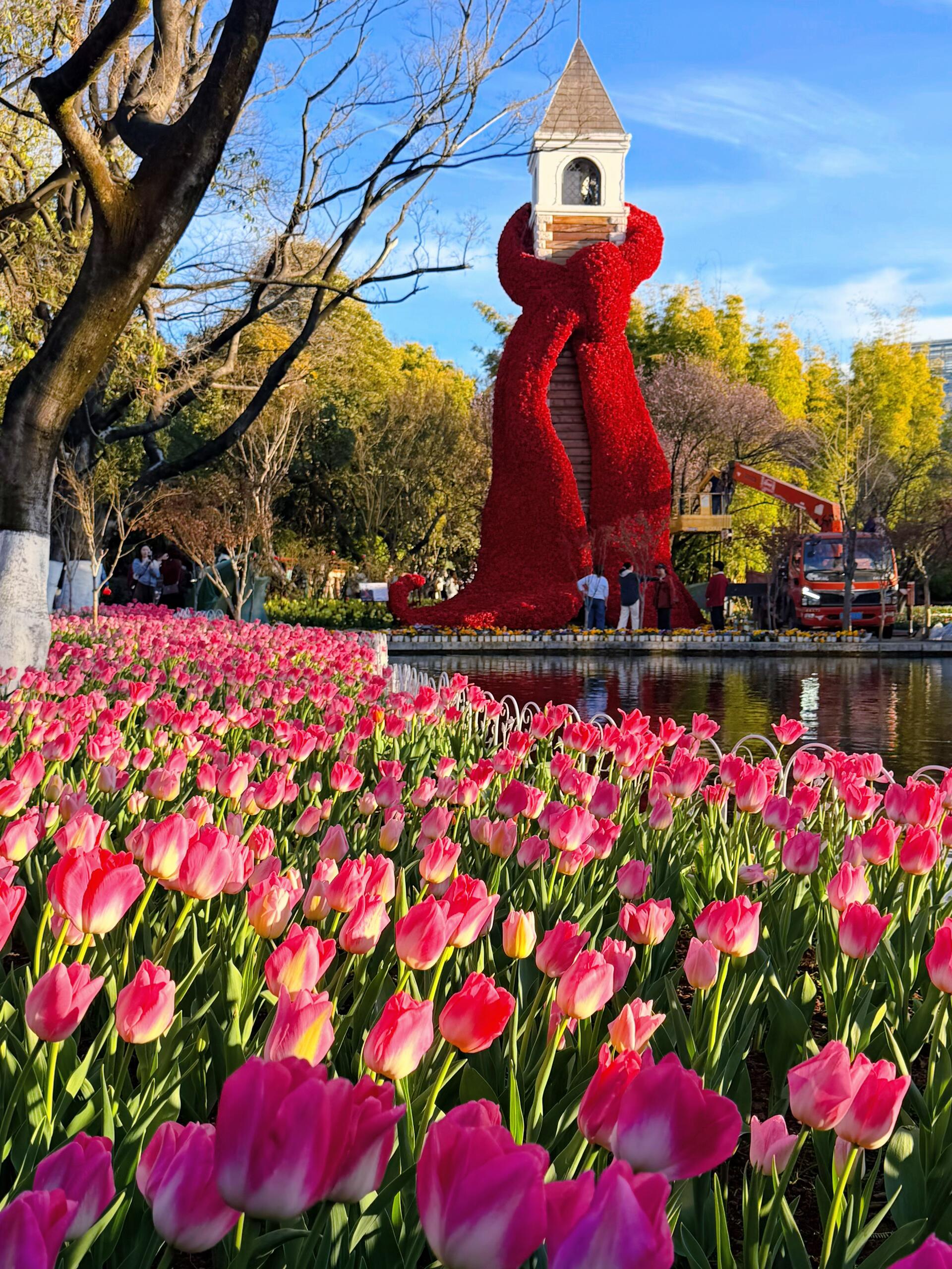 2026翠湖公园旅游指南：四季游览攻略看郁金香、红嘴鸥的最佳时间与避峰时段推荐