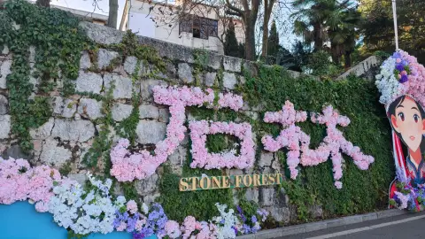 昆明石林风景区旅游攻略2026：2.7亿年地质奇观与最佳游览路线全指南 (62)