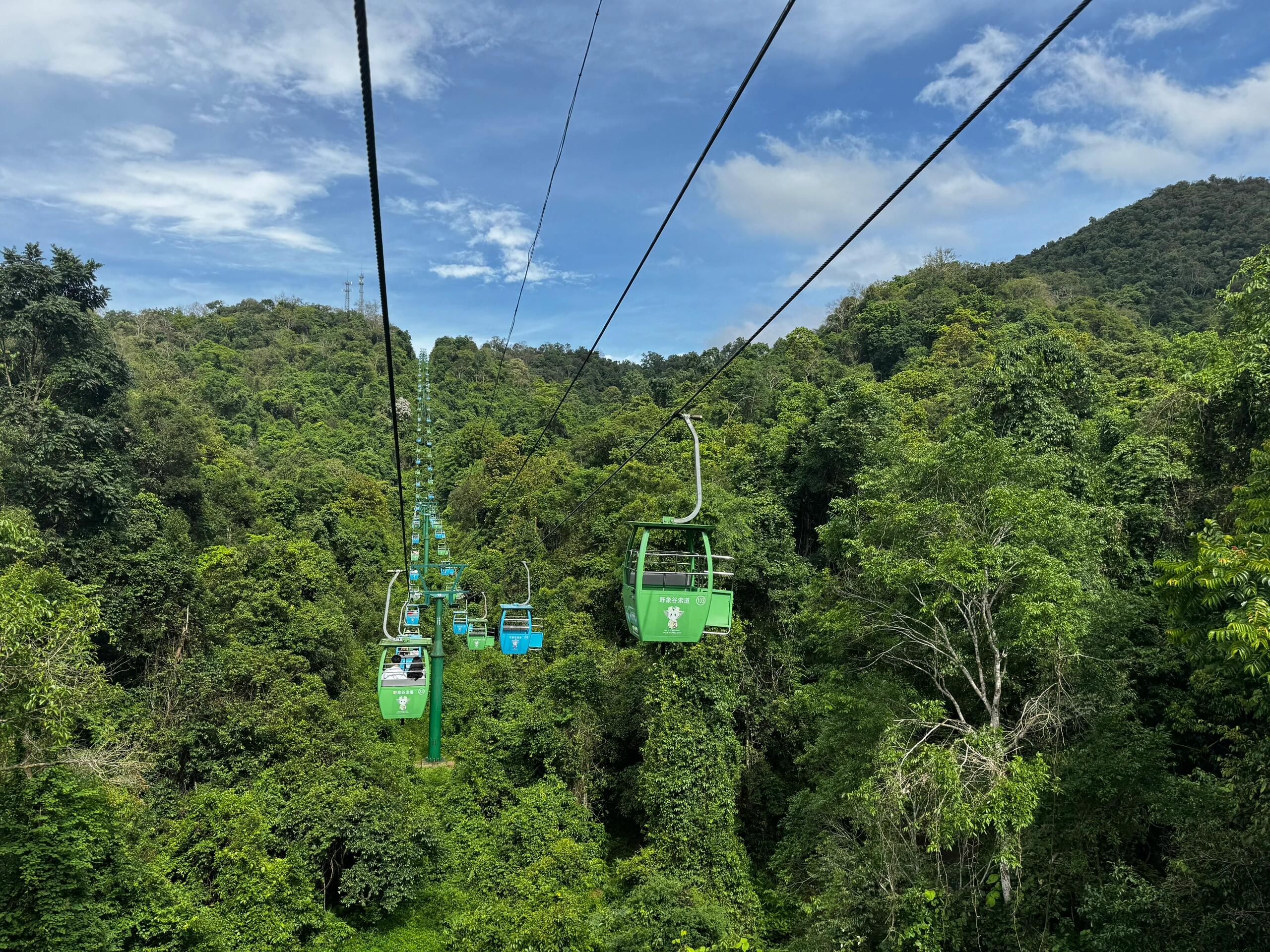 野象谷游玩攻略2026：门票购买、索道选择、游览路线与时间安排完整指南