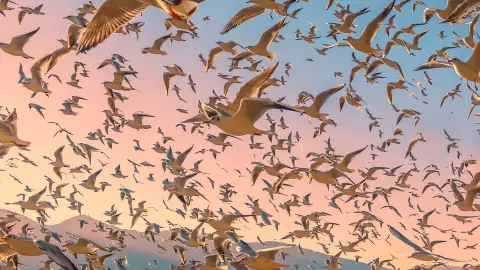 昆明旅游交通攻略2026：从市区到滇池·海埂公交1元起，30分钟直达湖畔全指南 (69)