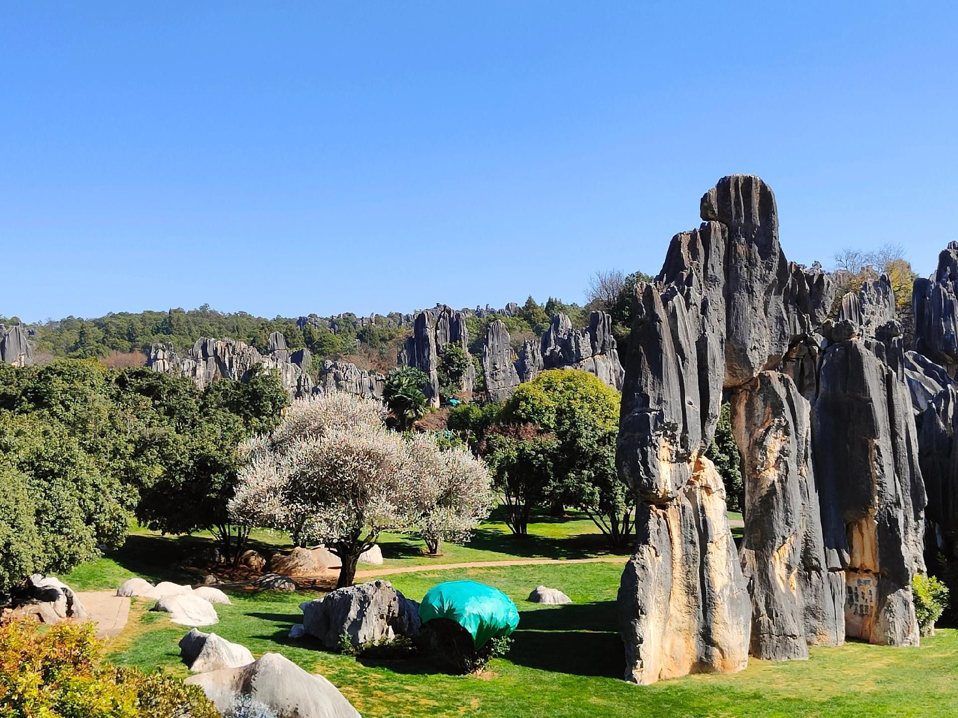 云南石林旅游交通指南 2026：昆明到石林怎么去？高铁、公交、拼团与自驾包车多种交通方式