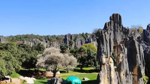 云南石林旅游交通指南 2026：昆明到石林怎么去？高铁、公交、拼团与自驾包车多种交通方式 (59)