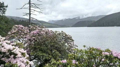 2026香格里拉普达措四季游览攻略：最佳旅游时间与春夏秋冬景色看点 (31)