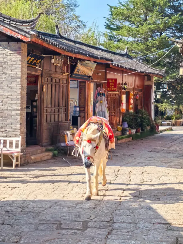 丽江束河古镇